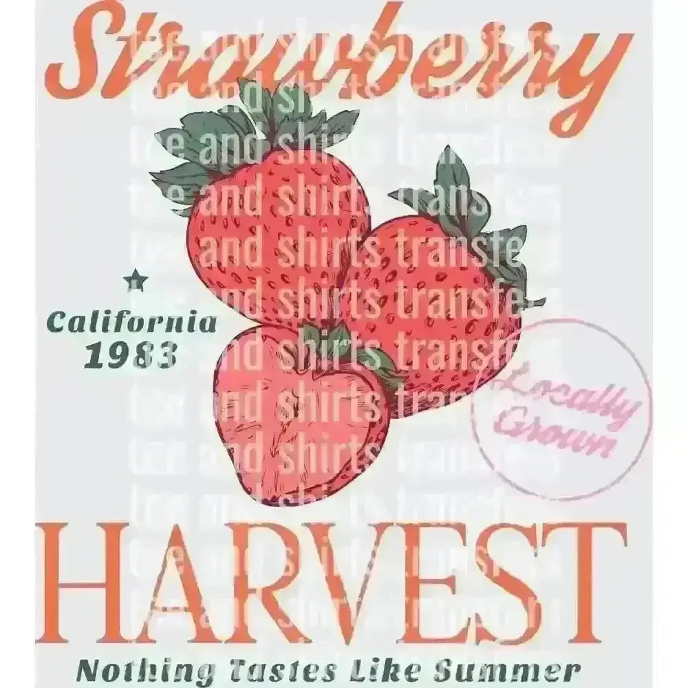 Strawberry Harvest California DTF TRANSFER DTF TRANSFER tee and shirts transfers