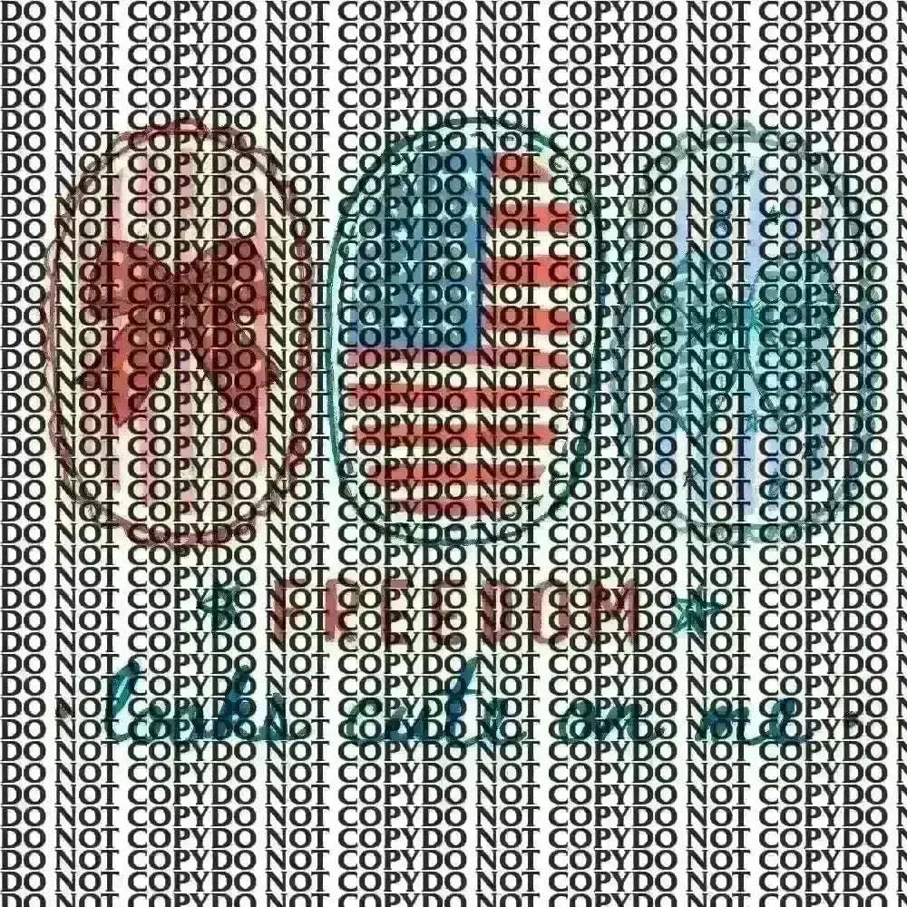 4th of July freedom DTF TRANSFER tee and shirts transfers 