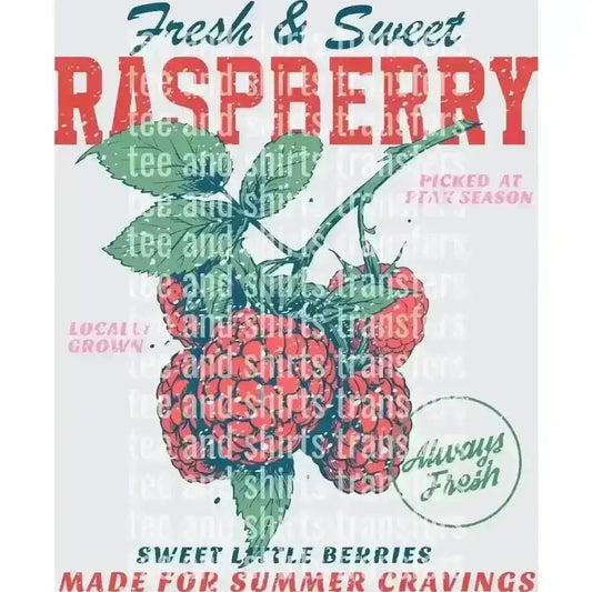 Fresh & Sweet Raspberry DTF TRANSFER DTF TRANSFER tee and shirts transfers 