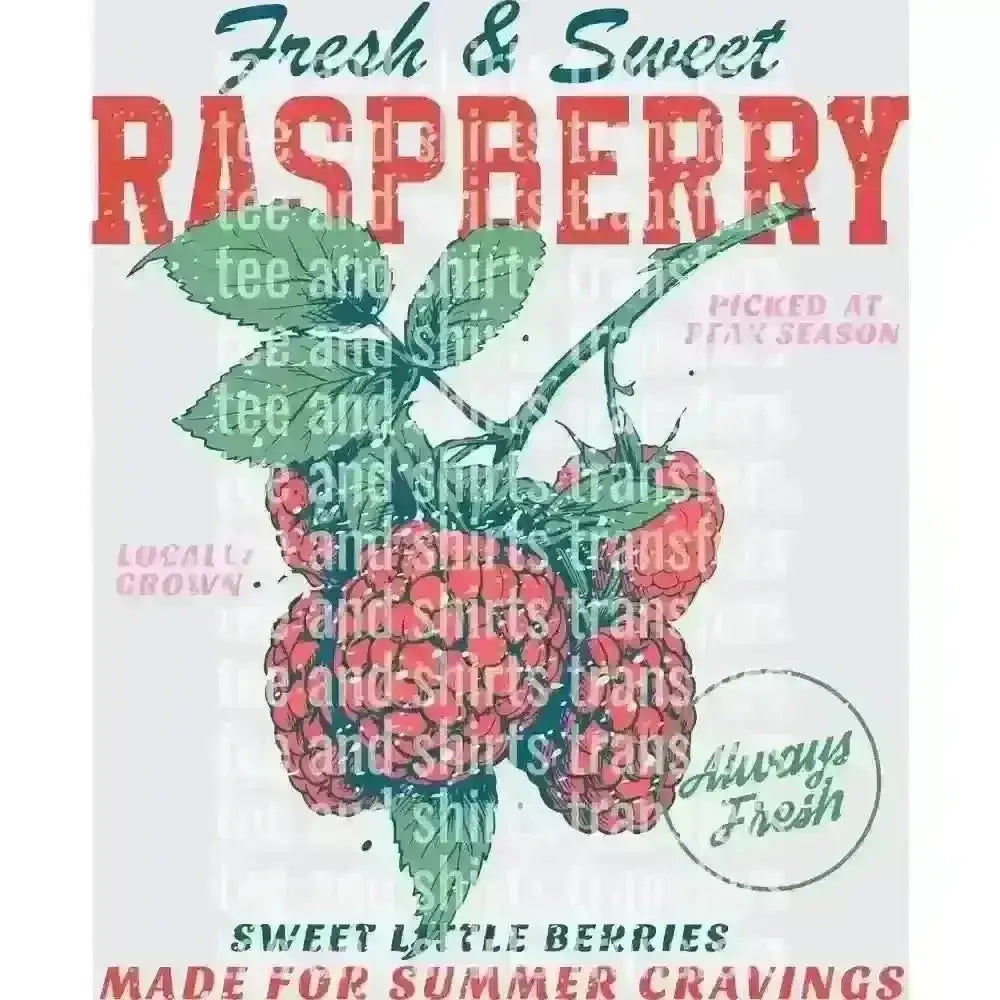 Fresh & Sweet Raspberry DTF TRANSFER DTF TRANSFER tee and shirts transfers 