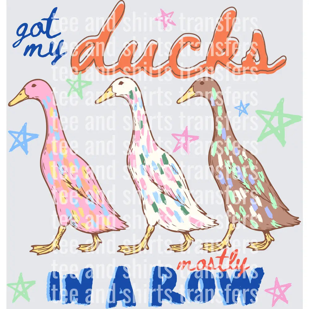 Got My Ducks Mostly In A Row DTF TRANSFER
