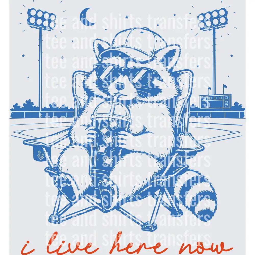 I live here now Baseball DTF TRANSFER