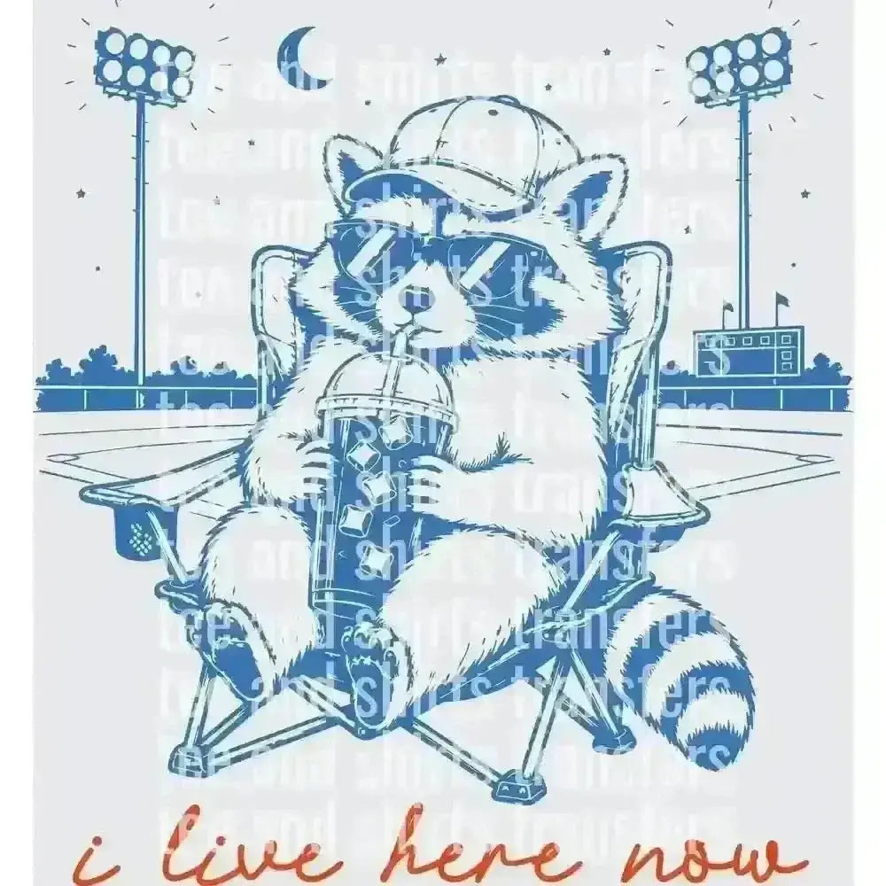 I live here now Baseball DTF TRANSFER DTF TRANSFER tee and shirts transfers 