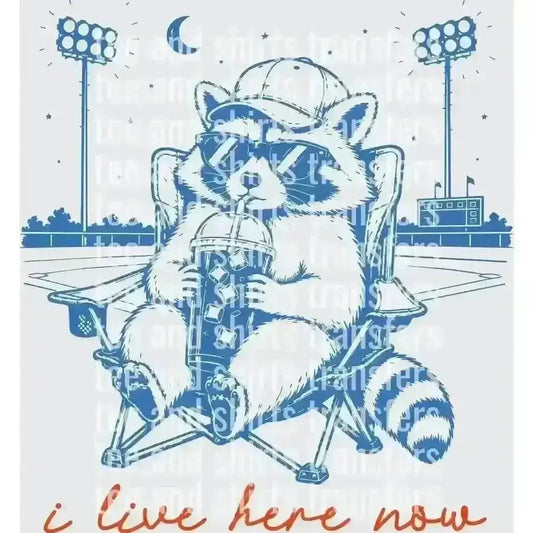 I live here now Baseball DTF TRANSFER DTF TRANSFER tee and shirts transfers 