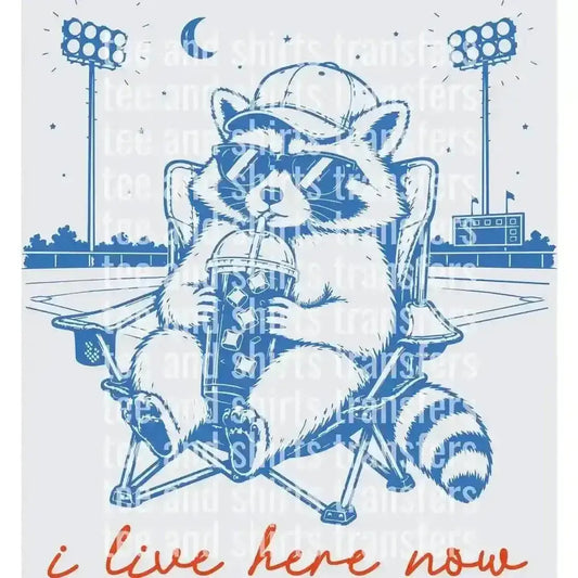 I live here now Baseball DTF TRANSFER DTF TRANSFER tee and shirts transfers 