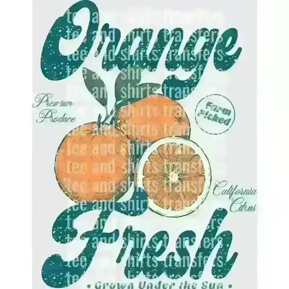 Orange Fresh DTF TRANSFER DTF TRANSFER tee and shirts transfers 