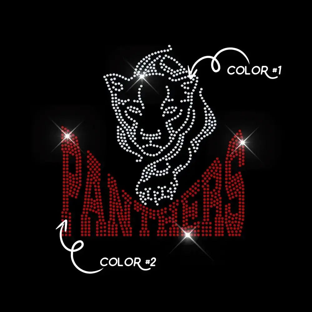 PANTHERS TWO COLOR tee and shirts transfers 
