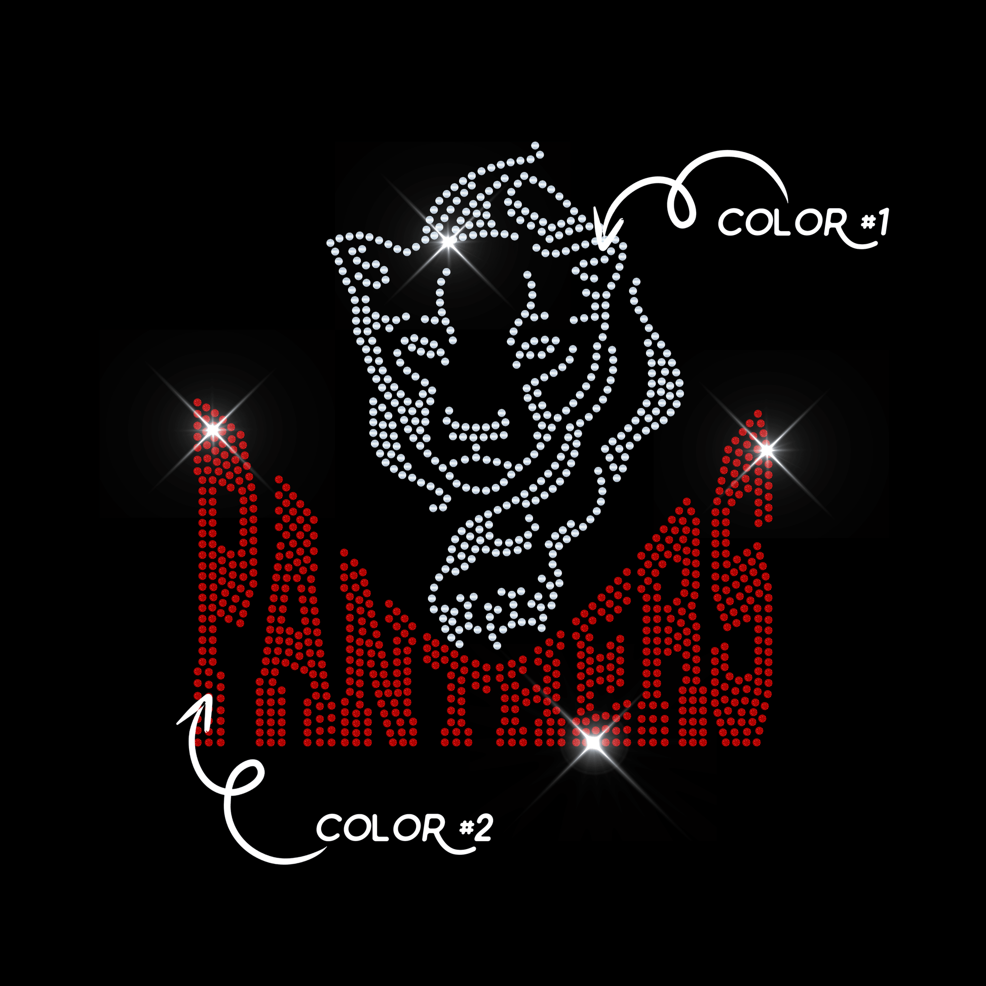 PANTHERS TWO COLOR tee and shirts transfers 