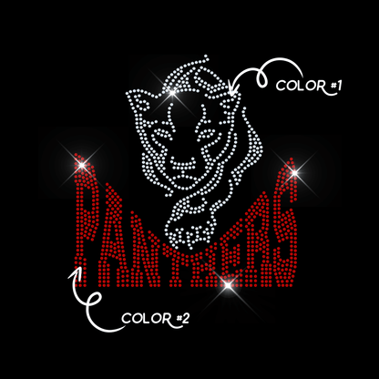 PANTHERS TWO COLOR tee and shirts transfers 