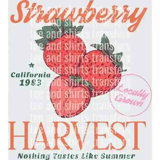 Strawberry Harvest California DTF TRANSFER DTF TRANSFER tee and shirts transfers 